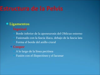 Ligamentos
Inguinal
 Borde inferior de la aponeurosis del Oblicuo externo
 Fusionado con la fascia ilíaca, debajo de la fascia lata
 Forma el borde del anillo crural
Cooper
 A lo largo de la línea pectínea
 Fusión con el iliepectíneo y el lacunar
 