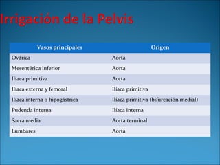 Vasos principales Origen
Ovárica Aorta
Mesentérica inferior Aorta
Ilíaca primitiva Aorta
Ilíaca externa y femoral Ilíaca primitiva
Ilíaca interna o hipogástrica Ilíaca primitiva (bifurcación medial)
Pudenda interna Ilíaca interna
Sacra media Aorta terminal
Lumbares Aorta
 
