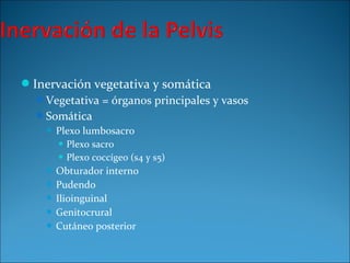 Inervación vegetativa y somática
Vegetativa = órganos principales y vasos
Somática
 Plexo lumbosacro
 Plexo sacro
 Plexo coccígeo (s4 y s5)
 Obturador interno
 Pudendo
 Ilioinguinal
 Genitocrural
 Cutáneo posterior
 
