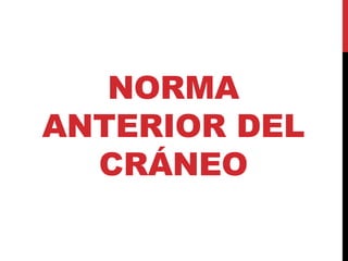 NORMA
ANTERIOR DEL
CRÁNEO
 