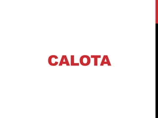 CALOTA
 