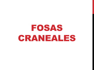 FOSAS
CRANEALES
 