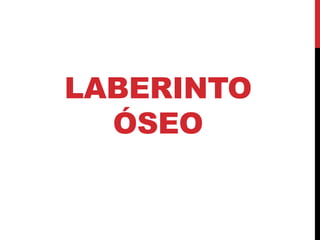 LABERINTO
ÓSEO
 