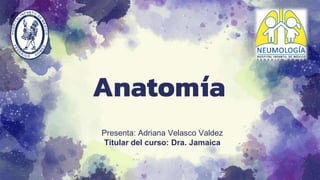 Anatomía
Presenta: Adriana Velasco Valdez
Titular del curso: Dra. Jamaica
 