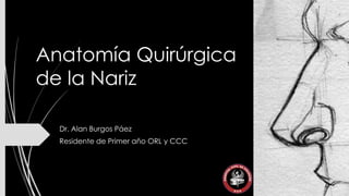 Anatomía Quirúrgica
de la Nariz
Dr. Alan Burgos Páez
Residente de Primer año ORL y CCC

 
