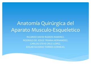 Anatomía Quirúrgica del
Aparato Musculo-Esqueletico
RICARDO DAVID RAMOS RAMIREZ.
RODRIGO DE JESUS TRIANA HERNANDEZ.
CARLOS STEVE CRUZ LOPEZ.
EDGAR SILVERIO TORRES CORNEJO.
 
