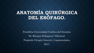 ANATOMÍA QUIRÚRGICA
DEL ESÓFAGO.
Pontificia Universidad Católica del Ecuador.
Dr. Bécquer Echegaray Villarreal.
Posgrado Cirugía General y Laparoscópica.
2017.
 