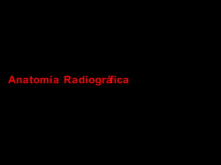 Anatomía Radiográfica

 