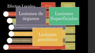 Anatomía radiológica | PPTX