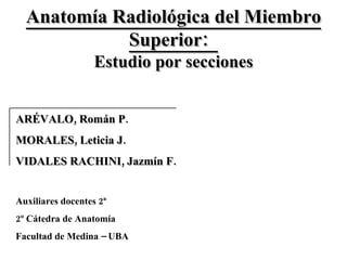 Anatomía Radiológica del Miembro Superior:  ARÉVALO, Román P. MORALES, Leticia J. VIDALES RACHINI, Jazmín F. Estudio por secciones Auxiliares docentes 2ª 2º Cátedra de Anatomía  Facultad de Medina – UBA  