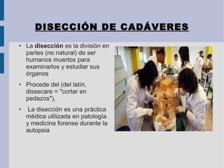 DISECCIÓN DE CADÁVERES
● La disección es la división en 
partes (no natural) de ser 
humanos muertos para 
examinarlos y estudiar sus 
órganos 
● Procede del (del latín, 
dissecare = "cortar en 
pedazos"),
●  La disección es una práctica 
médica utilizada en patología 
y medicina forense durante la 
autopsia
 
