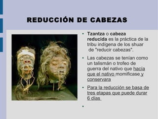 REDUCCIÓN DE CABEZAS
● Tzantza o cabeza 
reducida es la práctica de la 
tribu indígena de los shuar
 de "reducir cabezas".
● Las cabezas se tenían como 
un talismán o trofeo de 
guerra del nativo que hacía 
que el nativo momificase y 
conservara
● Para la reducción se basa de 
tres etapas que puede durar 
6 días 
●
 