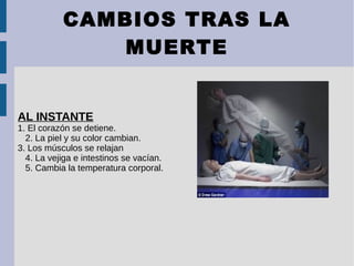 CAMBIOS TRAS LA
MUERTE
AL INSTANTE
1. El corazón se detiene.
2. La piel y su color cambian.
3. Los músculos se relajan
4. La vejiga e intestinos se vacían.
5. Cambia la temperatura corporal.
 