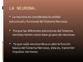 LA NEURONA.
 La neurona es considerada la unidad
estructural y funcional del Sistema Nervioso
 Porque las diferentes estructuras del Sistema
nervioso tienen como base grupos de neuronas.
 Ya que cada neurona lleva a cabo la función
básica del Sistema Nervioso, ésta es, transmitir
impulsos nerviosos.
 