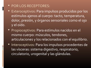  POR LOS RECEPTORES:
 Exteroceptivos: Para impulsos producidos por los
estímulos ajenos al cuerpo: tacto, temperatura,
dolor, presión, y órganos sensoriales como el ojo
y el oído.
 Propioceptivos: Para estímulos nacidos en el
mismo cuerpo: músculos, tendones,
articulaciones y los relacionados con el equilibrio.
 Interoceptivos: Para los impulsos procedentes de
las vísceras: sistema digestivo, respiratorio,
circulatorio, urogenital y las glándulas.
 