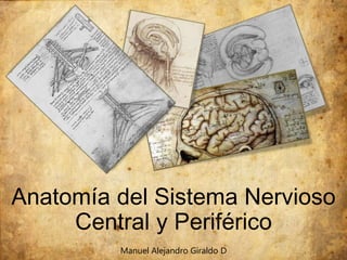 Anatomía del Sistema Nervioso 
Central y Periférico 
Manuel Alejandro Giraldo D 
 