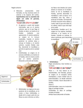 Región anterior:
 Músculos previscerales (mal
llamados, no hay vísceras) están en
anterior a los órganos del cuellos.
Suprahioideos (son 4, acuérdate del
dígalo con estilo mi general),
infrahioideos
 “DIGALO CON ESTILO MI GENERAL”
 Di gástrico: a partir del tendón
intermedio, que es el vientre
anterior; que es la que llega al
hioides, es decir, se inserta en el
hioides mediante una
aponeurosis. El vientre posterior
se origina en la incisura
mastoidea. Cuando el vientre
posterior se contrae eleva y
retruye el hioides y el vientre
anterior, cuando hioides esta
fijo, desciende la mandíbula y
permite la apertura de la cavidad
oral
 Estilohioideo: se origina en el
proceso estiloides y se inserta en
el hioides, tiene la misma acción
que el vientre posterior.
Elevación y retrusión de hioides.
 Milohioideo: se origina en la cara
posterior de la mandíbula, en la
cresta o línea milohioidea, y
desde ahí la mayor parte de sus
fibras se unen y forman un rafe y
las fibras más distales (el cuarto
distal) se insertan en el hioides.
Como va de la mandíbula al
hioides, permite descender la
mandíbula ( abrir la boca). Si la
mandíbula esta fija, eleva y
protruye el hioides. Corresponde
al límite muscular entre cabeza y
cuello, todo lo que está sobre él,
es cabeza, todo lo que está bajo
el es cuello
 Genihioideo: También son 2. Se
origina en las espinas mentales
inferiores y se inserta en el
hioides. Cuando se contrae, lo
eleva y protruye, pero desciende
la mandíbula
 Infrahioideos:
Regla nemotécnica: Este hombre es
un tirano
“ESTE HOMBRE ES UN TIRANO”
Plano 1 : El mas lateral es el
homohioideo, mal llamado, porque
se origina en la escapula (antes
homóplato) y hacia medial esta el
esternohioideo ( va desde esternón
hasta el hioides. Hacen descender al
hioides.
Plano 2:
Esternotiroideo: nace en el esternón
llega al cartílago tiroides
Tirohioideo va dese el cartílago
tiroides al hioides
Ambos hacen descender al hioides
Estilohioideo
Digastrico
Genihioideos
Milohioideo
(Es todo)
 