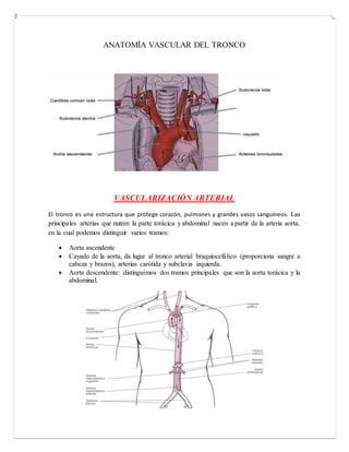 ANATOMÌA VASCULAR DEL TRONCO
VASCULARIZACIÓN ARTERIAL
El tronco es una estructura que protege corazón, pulmones y grandes vasos sanguíneos. Las
principales arterias que nutren la parte torácica y abdominal nacen a partir de la arteria aorta,
en la cual podemos distinguir varios tramos:
 Aorta ascendente
 Cayado de la aorta, da lugar al tronco arterial braquiocefálico (proporciona sangre a
cabeza y brazos), arterias carótida y subclavia izquierda.
 Aorta descendente: distinguimos dos tramos principales que son la aorta torácica y la
abdominal.
 