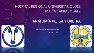 HOSPITAL REGIONAL UNIVERSITARIO JOSÉ
MARÍA CABRAL Y BÁEZ
ANATOMÍA VEJIGA Y URETRA
DR. DANIEL M. VARGAS MATEO.
RI UROLOGÍA.
 