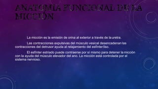 La micción es la emisión de orina al exterior a través de la uretra.
Las contracciones expulsivas del músculo vesical desencadenan las
contracciones del detrusor ayuda al relajamiento del esfínterliso.
El esfínter estriado puede contraerse por sí mismo para detener la micción
con la ayuda del músculo elevador del ano. La micción está controlada por el
sistema nervioso.
 