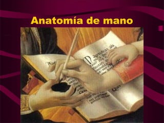 Anatomía y cirugía de mano p.pptx