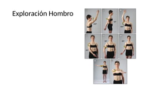 Exploración Hombro
 