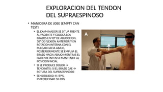 EXPLORACION DEL TENDON
DEL SUPRAESPINOSO
• MANIOBRA DE JOBE (EMPTY CAN
TEST)
• EL EXAMINADOR SE SITUA FRENTE
AL PACIENTE Y COLOCA LOS
BRAZOS EN 90° DE ABUDCCION,
30° DE FLEXIÓN ANTERIOR Y EN
ROTACION INTERNA CON EL
PULGAR HACIA ABAJO,
POSTERIORMENTE SE EMPUJA EL
BRAZO HACIA ABAJO MIENTRAS EL
PACIENTE INTENTA MANTENER LA
POSICION INCIAL
• SI SE PRODUCE DOLOR 🡪
TENDINITIS; SI EL BRAZO CAE 🡪
ROTURA DEL SUPRAESPINOSO
• SENSIBILIDAD 41-89%,
ESPECIFICIDAD 50-98%
 