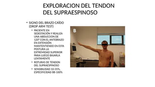 EXPLORACION DEL TENDON
DEL SUPRAESPINOSO
• SIGNO DEL BRAZO CAÍDO
(DROP ARM TEST)
• PACIENTE EN
SEDESTACIÓN Y REALIZA
UNA ABDUCCION DE
120° CON EL ANTEBRAZO
EN EXTENSIÓN
MANTENTIENDO EN ESTA
POSTURA LA
EXTREMIDAD SUPERIOR
PARA LUEGO BAJARLA
LENTAMENTE
• ROTURAS DE TENDON
DEL SUPRAESPINOSO
• SENSIBILIDAD 10-35%,
ESPECIFICIDAD 88-100%
 