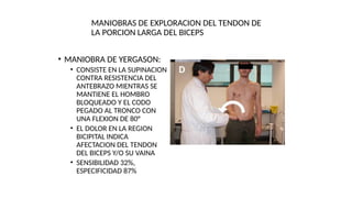 MANIOBRAS DE EXPLORACION DEL TENDON DE
LA PORCION LARGA DEL BICEPS
• MANIOBRA DE YERGASON:
• CONSISTE EN LA SUPINACION
CONTRA RESISTENCIA DEL
ANTEBRAZO MIENTRAS SE
MANTIENE EL HOMBRO
BLOQUEADO Y EL CODO
PEGADO AL TRONCO CON
UNA FLEXION DE 80°
• EL DOLOR EN LA REGION
BICIPITAL INDICA
AFECTACION DEL TENDON
DEL BICEPS Y/O SU VAINA
• SENSIBILIDAD 32%,
ESPECIFICIDAD 87%
 
