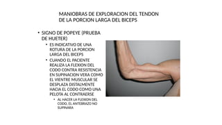 MANIOBRAS DE EXPLORACION DEL TENDON
DE LA PORCION LARGA DEL BICEPS
• SIGNO DE POPEYE (PRUEBA
DE HUETER)
• ES INDICATIVO DE UNA
ROTURA DE LA PORCION
LARGA DEL BICEPS
• CUANDO EL PACIENTE
REALIZA LA FLEXION DEL
CODO CONTRA RESISTENCIA
EN SUPINACION VERA COMO
EL VIENTRE MUSCULAR SE
DESPLAZA DISTALMENTE
HACIA EL CODO COMO UNA
PELOTA AL CONTRAERSE
• AL HACER LA FLEXION DEL
CODO, EL ANTEBRAZO NO
SUPINARA
 