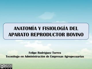 ANATOMÍA Y FISIOLOGÍA DEL
 APARATO REPRODUCTOR BOVINO


               Felipe Rodríguez Torres
Tecnólogo en Administración de Empresas Agropecuarias
 