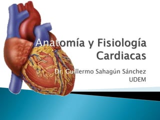 Anatomía y Fisiología Cardiacas Dr. Guillermo Sahagún Sánchez UDEM 