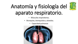 Anatomía y fisiología del
aparato respiratorio.
• Músculos respiratorios.
• Bronquios, bronquiolos y alveolos.
• Capacidad pulmonar.
 