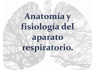 Anatomía y
fisiología del
aparato
respiratorio.
 