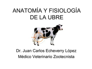 ANATOMÍA Y FISIOLOGÍA
DE LA UBRE
Dr. Juan Carlos Echeverry López
Médico Veterinario Zootecnista
 