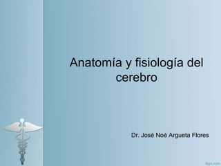 Anatomía y fisiología del
       cerebro



           Dr. José Noé Argueta Flores
 