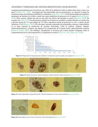 Anatomía y fisiología del rumen 000000000 | PDF
