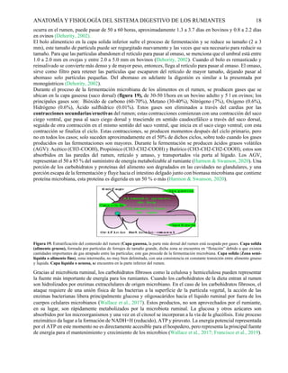 Anatomía y fisiología del rumen 000000000 | PDF