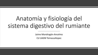 Anatomía y fisiología del
sistema digestivo del rumiante
Jaime Mondragón-Ancelmo
CU UAEM Temascaltepec
 
