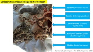 Anatomía y fisiología del rumen pdf.pdf0000000 | PDF