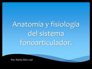 Anatomía y fisiología
del sistema
fonoarticulador.
Por: Marta Siles Leal
 