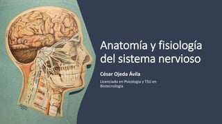 Anatomía y fisiología
del sistema nervioso
César Ojeda Ávila
Licenciado en Psicología y TSU en
Biotecnología
 