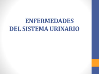 ENFERMEDADES
DEL SISTEMA URINARIO
 