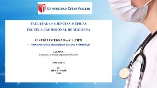 FACULTAD DE CIENCIAS MÉDICAS
ESCUELA PROFESIONAL DE MEDICINA
CIRUGÍA INTEGRADA– C1 (C1P5)
• TEMA:ANATOMÍA Y FISIOLOGÍA DEL SNC Y PERIFÉRICO
ALUMNA:
Camacho La Madrid Angélica Del Socorro
DOCENTE:
Dr.
PIURA – PERÚ
2021
 
