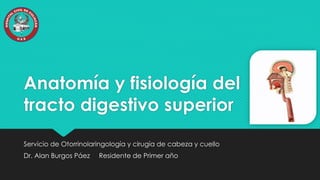 Anatomía y fisiología del
tracto digestivo superior
Servicio de Otorrinolaringología y cirugía de cabeza y cuello
Dr. Alan Burgos Páez Residente de Primer año
 