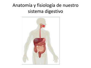 Anatomía y fisiología de nuestro
sistema digestivo
 