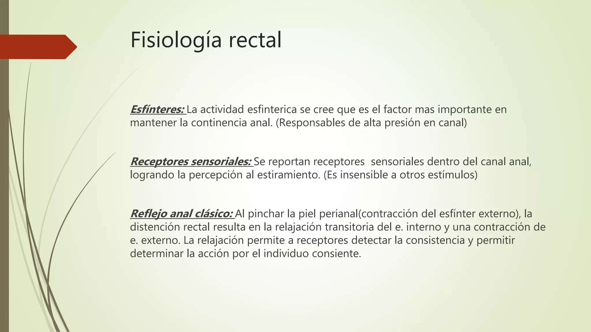 Anatomía y fisiología de recto y ano | PPTX
