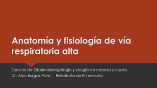 Anatomía y fisiología de vía
respiratoria alta
Servicio de Otorrinolaringología y cirugía de cabeza y cuello
Dr. Alan Burgos Páez Residente de Primer año
 