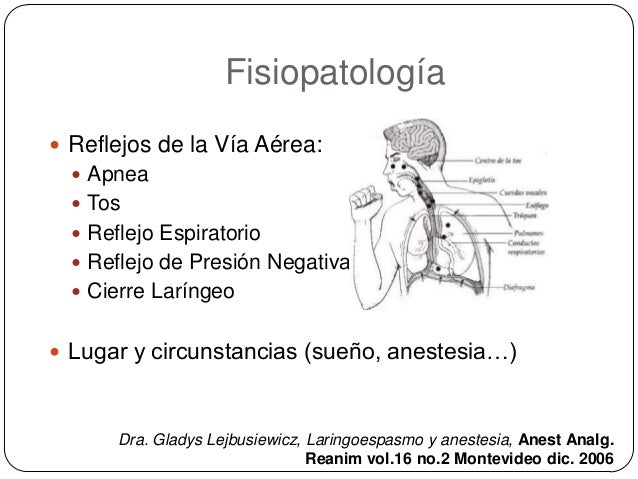 Anatomía y fisiología de vías respiratorias superiores
