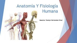 Anatomía Y Fisiología
Humana
Maestra: Yoselyn Hernández Vivar
 